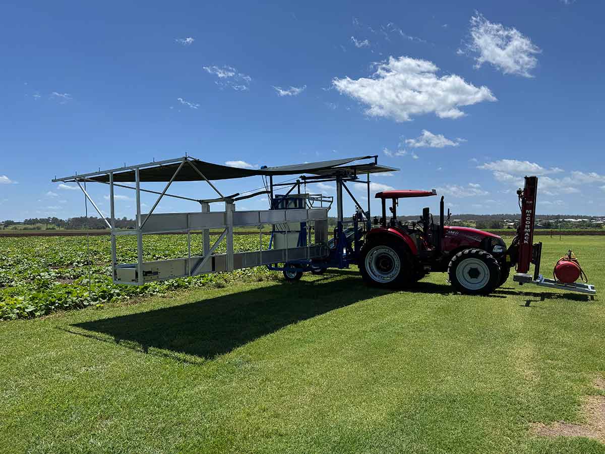 field packing conveyor