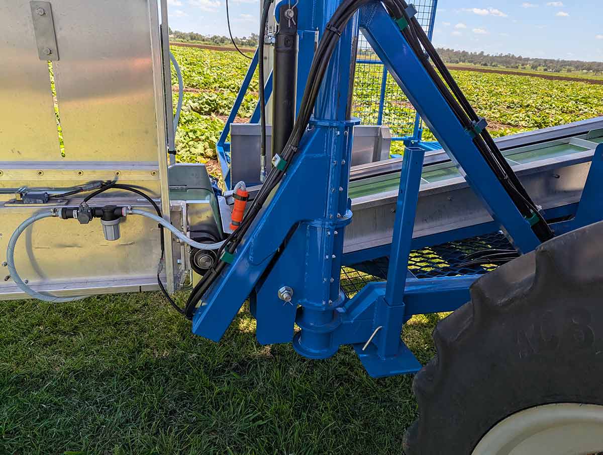 produce packing conveyor