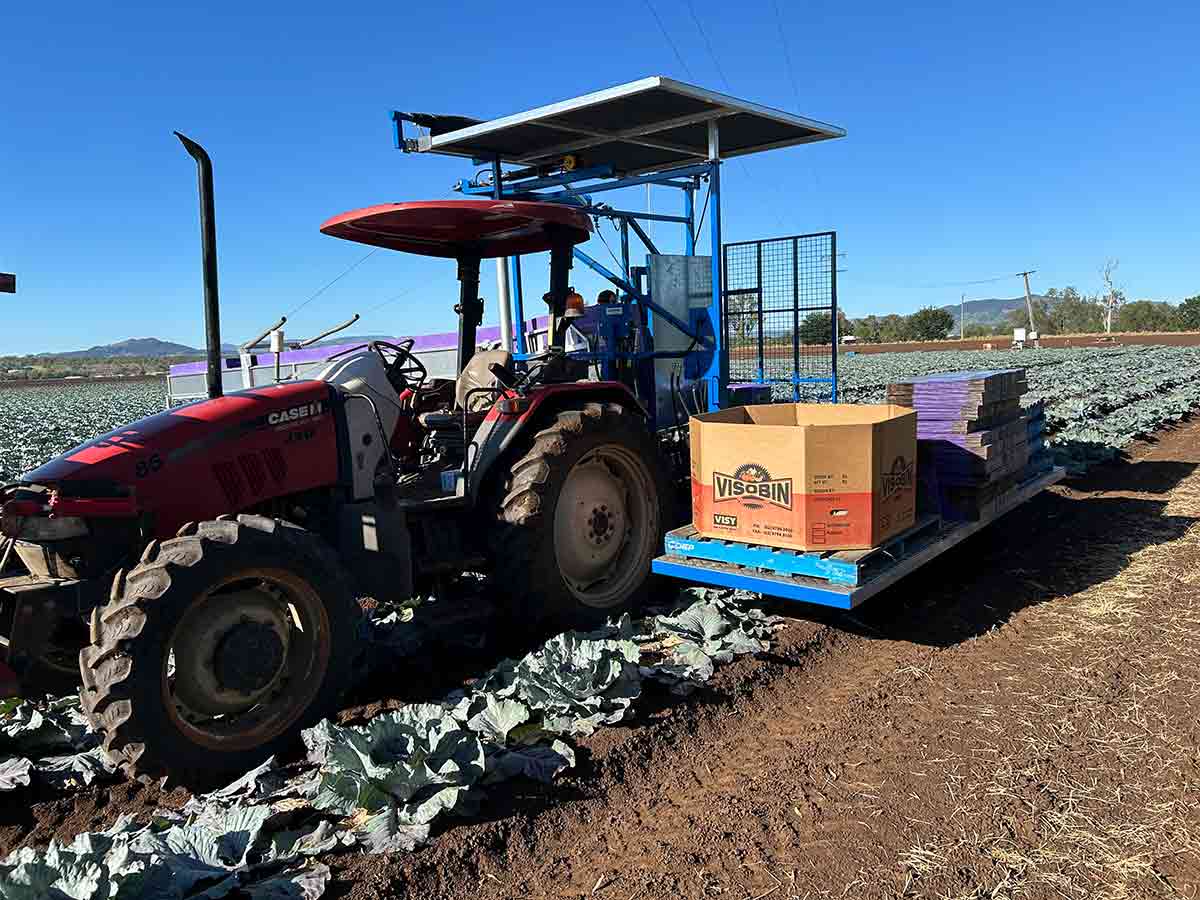 On-board packing stations