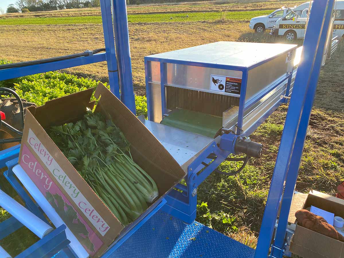 produce packing conveyor